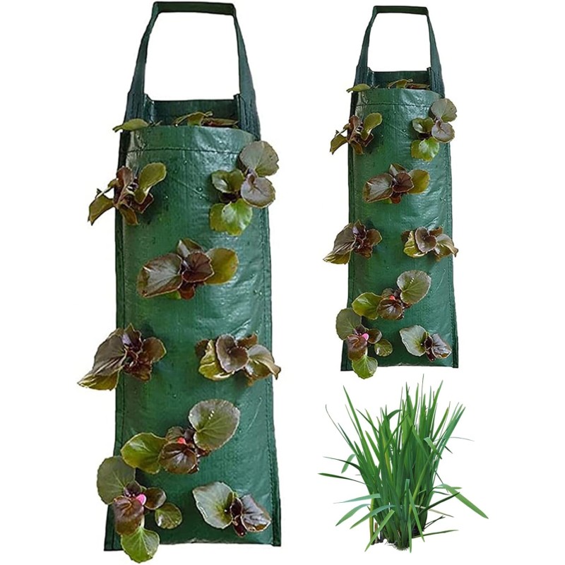Hanging Plant Bags Supplier - Breathable Strawberry Grow Bags