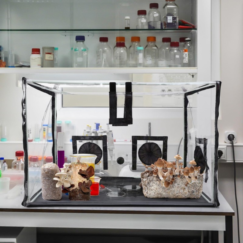 Mushroom Grow Tent Supplier - Still Air Box Propagation Station