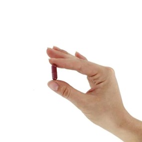 OEM Expert-Recommended Women's Herbal Supplements Factory - Health Hair Growth Immune Support Gut Fitness Biotin