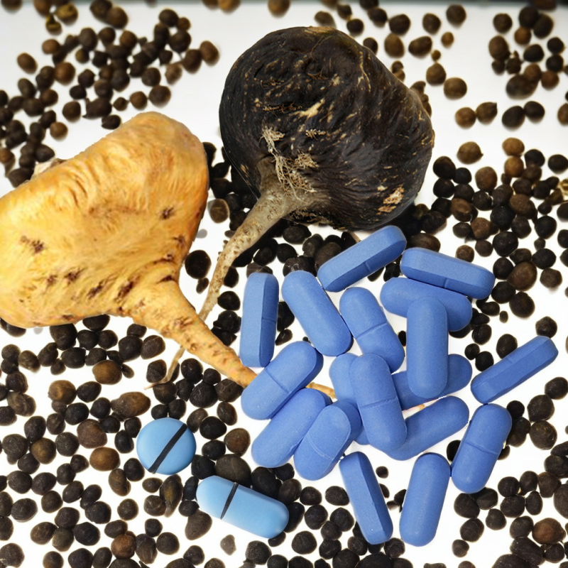 Wholesale Customized Male Supplements Manufacturer - Epimedium Horny Goat Weed Maca Ginseng Extract Tablet Antioxidant