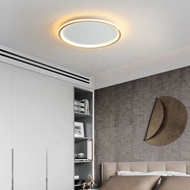 Premium Supplier - Black Glass Ceiling Light