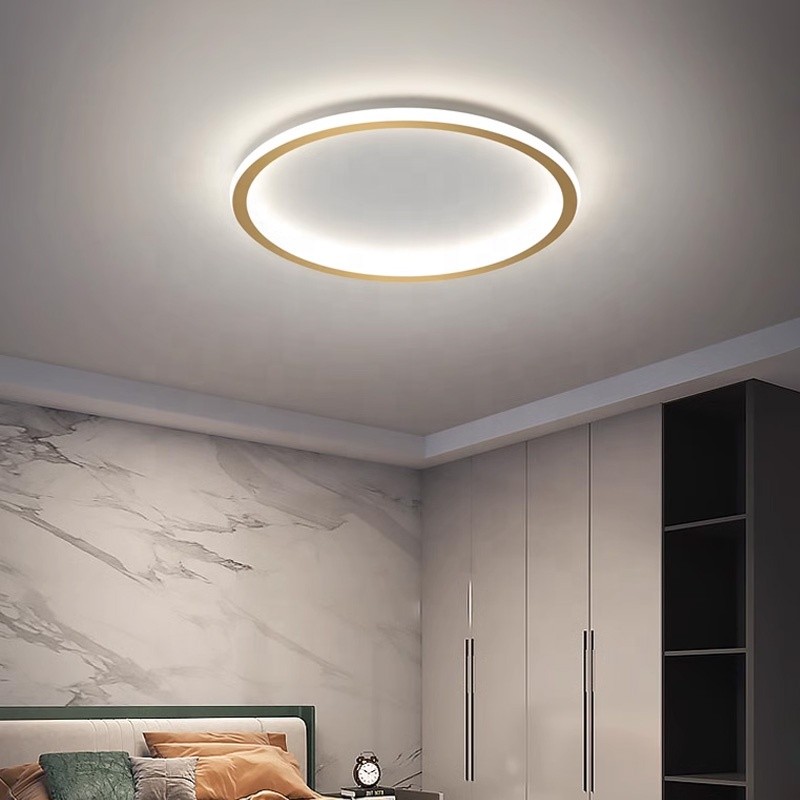 Premium Supplier - Black Glass Ceiling Light