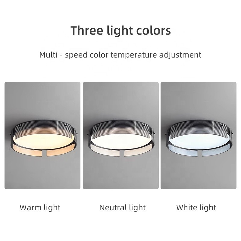 Designer Manufacturer - Advanced Acrylic Ceiling Light