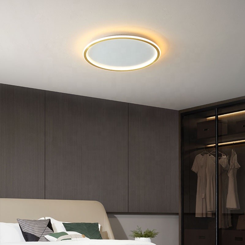 Premium Supplier - Black Glass Ceiling Light