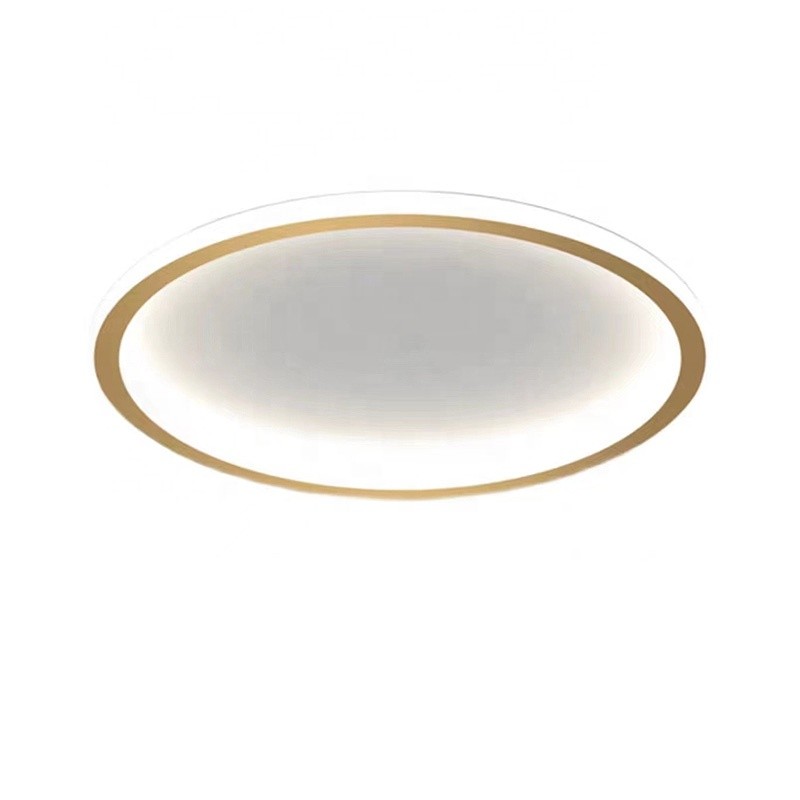 Premium Supplier - Black Glass Ceiling Light