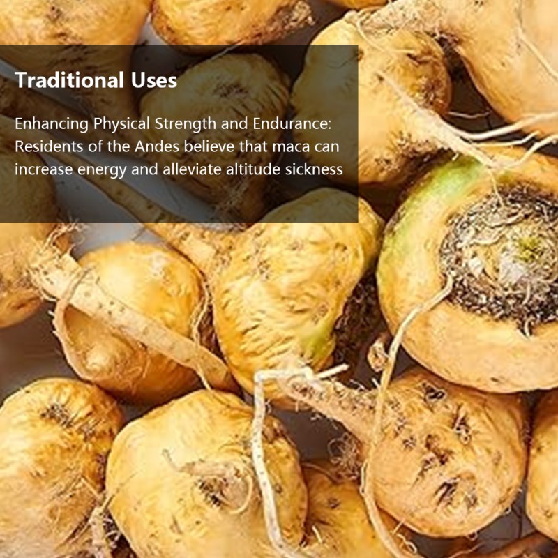 Organic Maca Root Powder Manufacturer - OEM/ODM Private Label Vegan Herbal Supplement Rich in Antioxidants (Non-GMO)