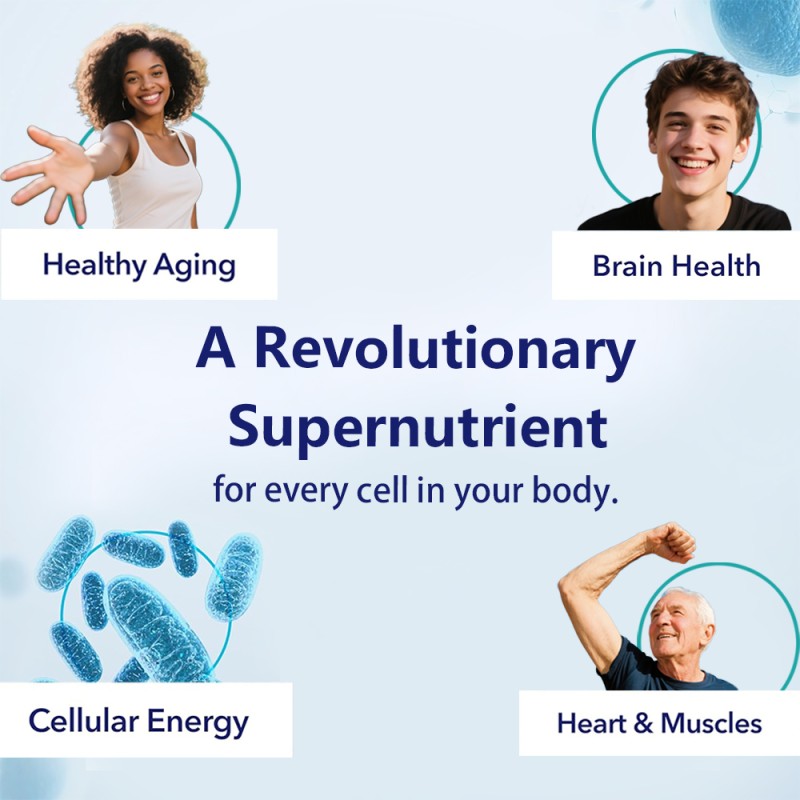 OEM/ODM NAD+ Supplement Capsules Manufacturer - Private Label Nicotinamide Adenine Dinucleotide Supplement for Anti-Aging & Cell Support (Private Label)