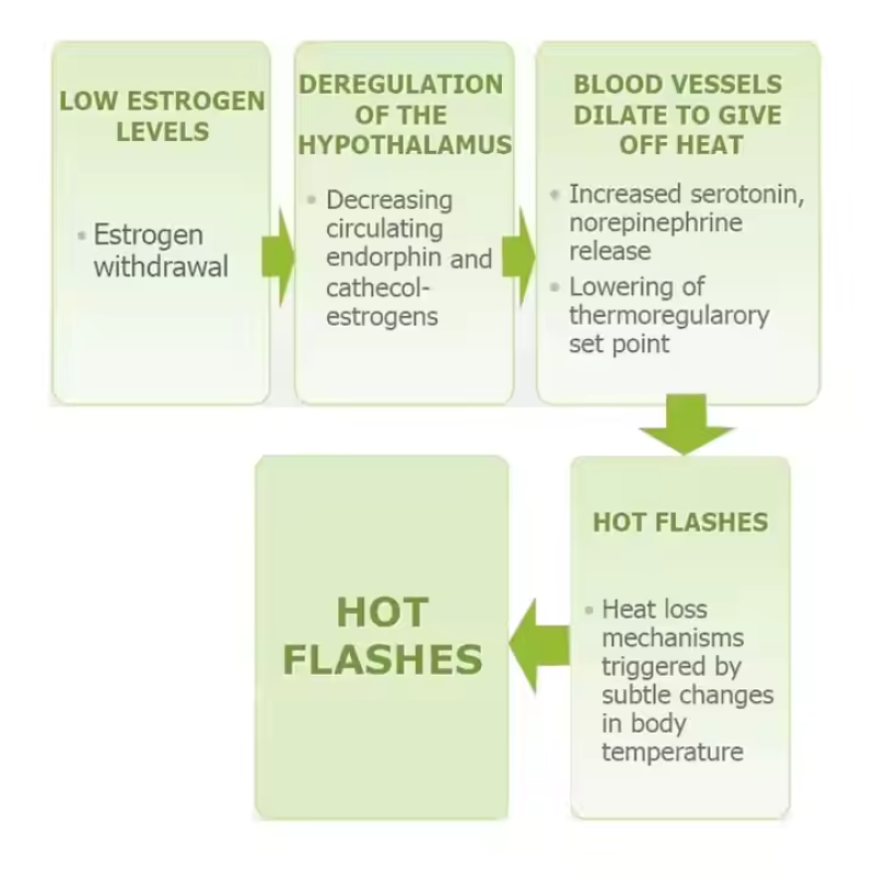 Menopause Supplements Capsule Manufacturer - OEM/ODM Private Label Multivitamin Plant Extract Capsules for Hormonal Balance (Hot Flashes/Night Sweats)