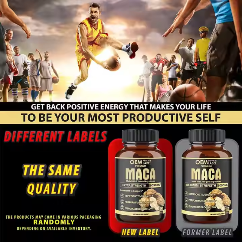 OEM Men's Maca Capsules Manufacturer - Private Label Natural Maca Multi-Vitamin Capsules for Energy Support