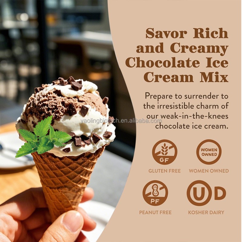 OEM Vanilla Chocolate Ice Cream Powder Manufacturer - Private Label Healthy Low-Sugar Vitamin Ice Cream Mix (Wholesale & Private Label)