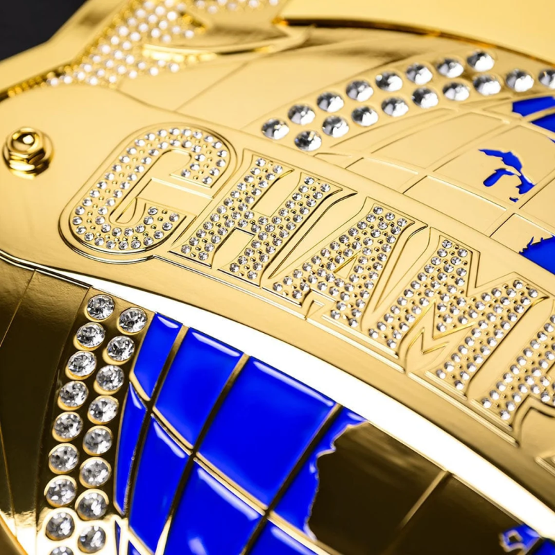 Weightlifting Belt Factory - 6lb Customizable Bodybuilding Awards