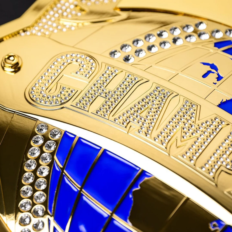 Weight Lifting Belt Factory - Heavy Duty Leather Boxing Wrestling