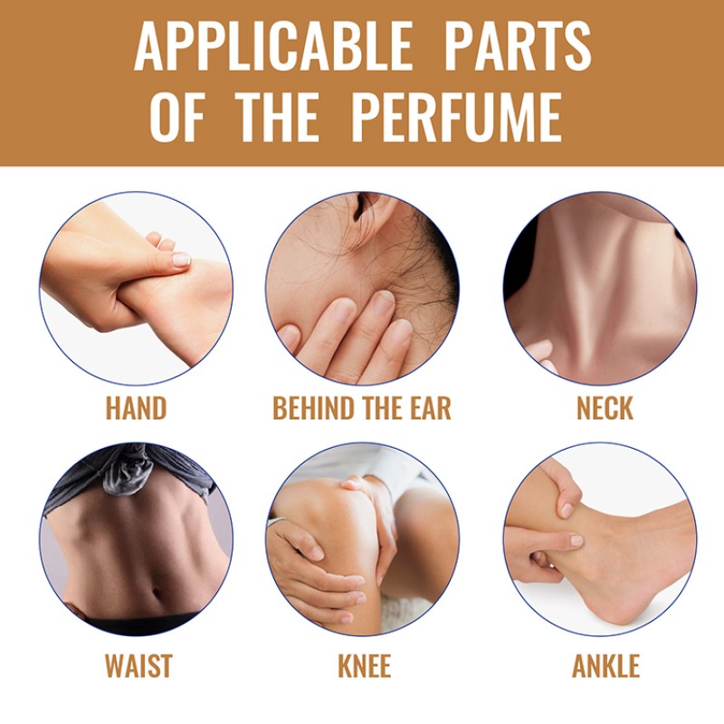 Mini Perfume Factory - Wholesale Long Lasting Perfume Spray