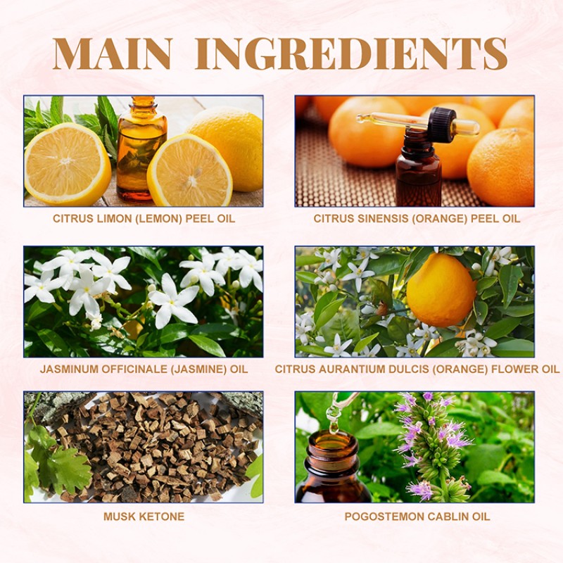 Mini Perfume Factory - Wholesale Long Lasting Perfume Spray