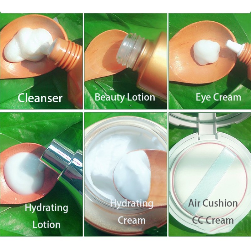 Face Set Supplier - Private Label Snails Skin Care Set