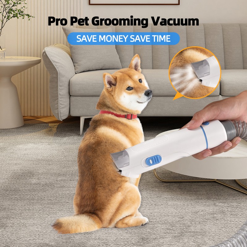 Dog Grooming Clipper Manufacturer - Professional Low Noise Hair Clipper Kit