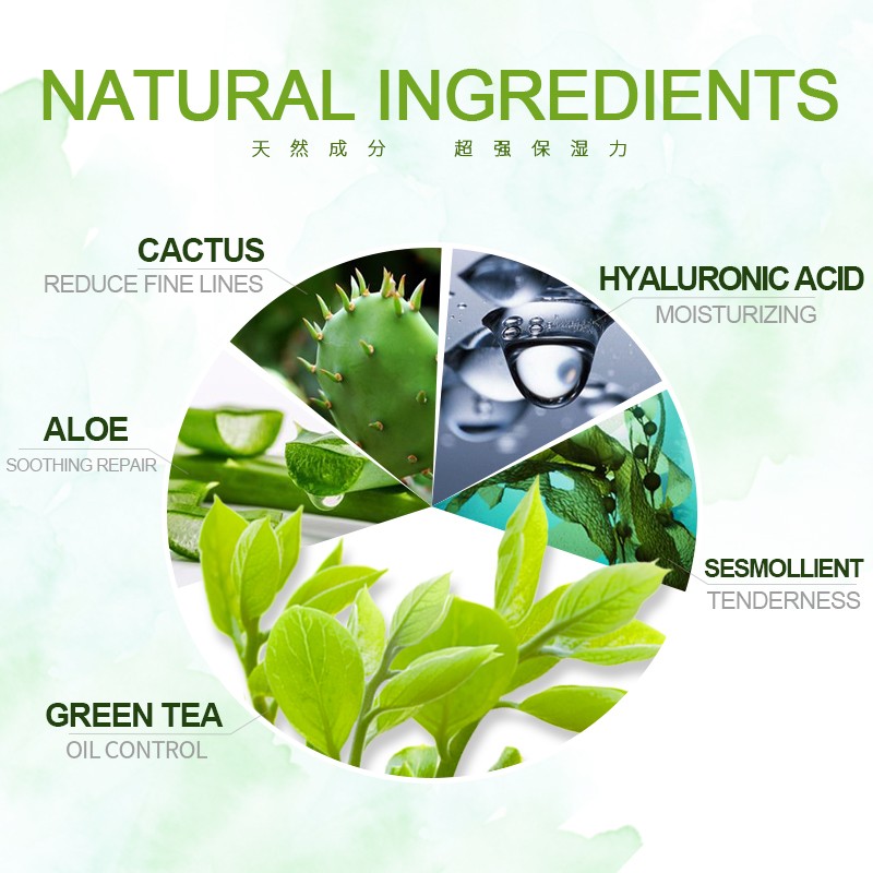 Skin Care Set Factory - Green Tea Anti Wrinkle Hydrating