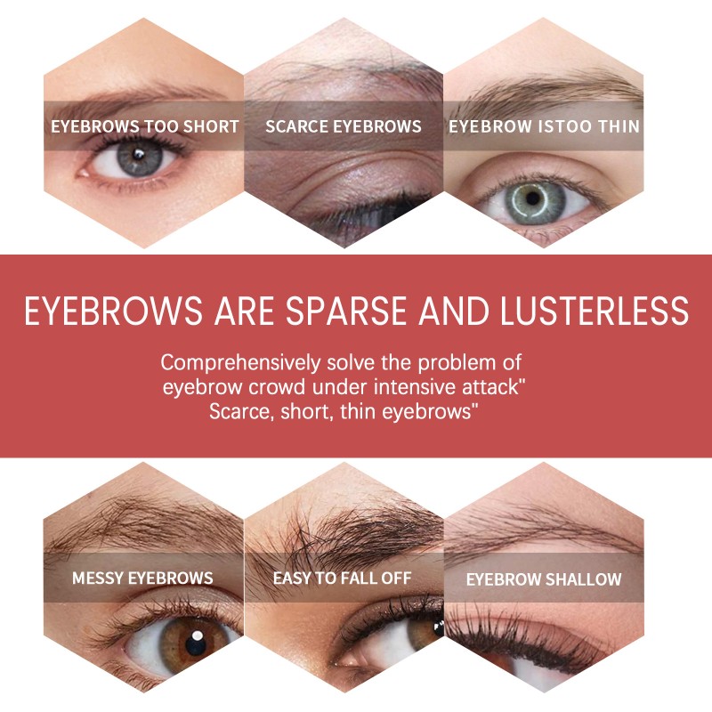 Eyebrow Lamination Kit Supplier - Private Label Soft Extension