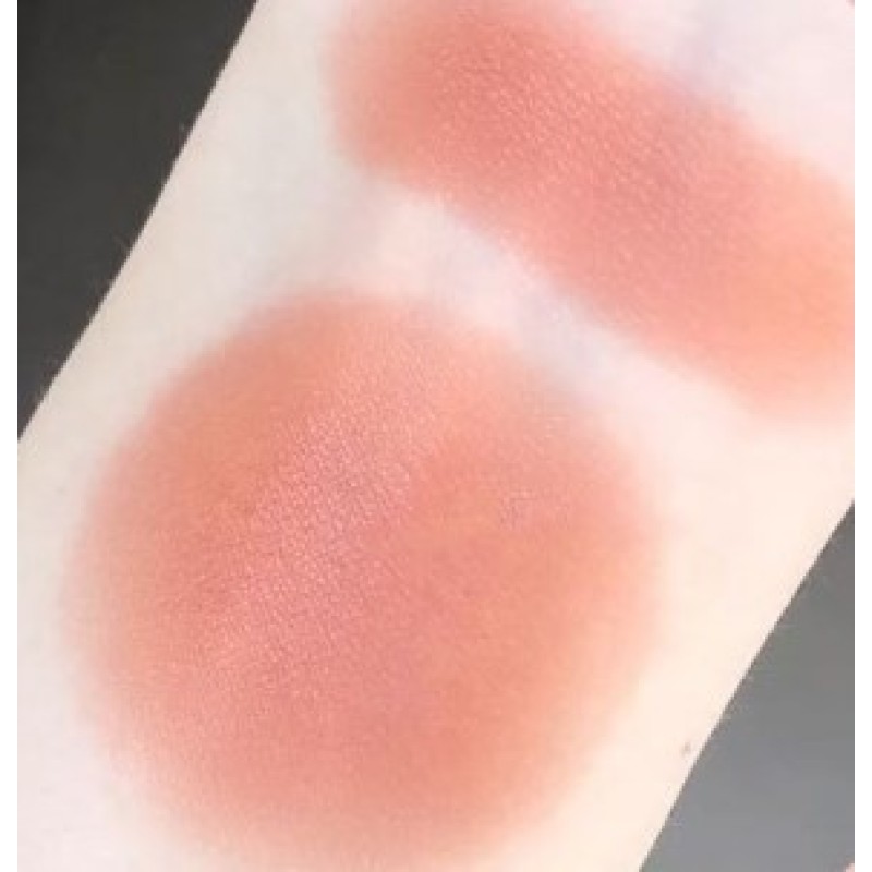 Blush Palette Manufacturer - Matte Shiny Blusher