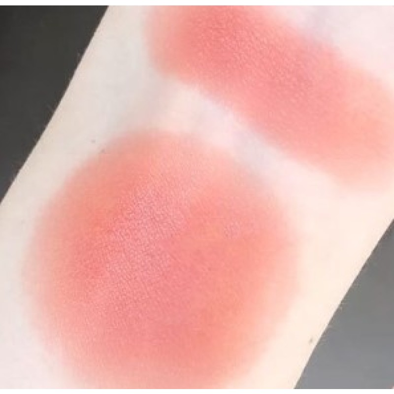 Blush Palette Manufacturer - Matte Shiny Blusher