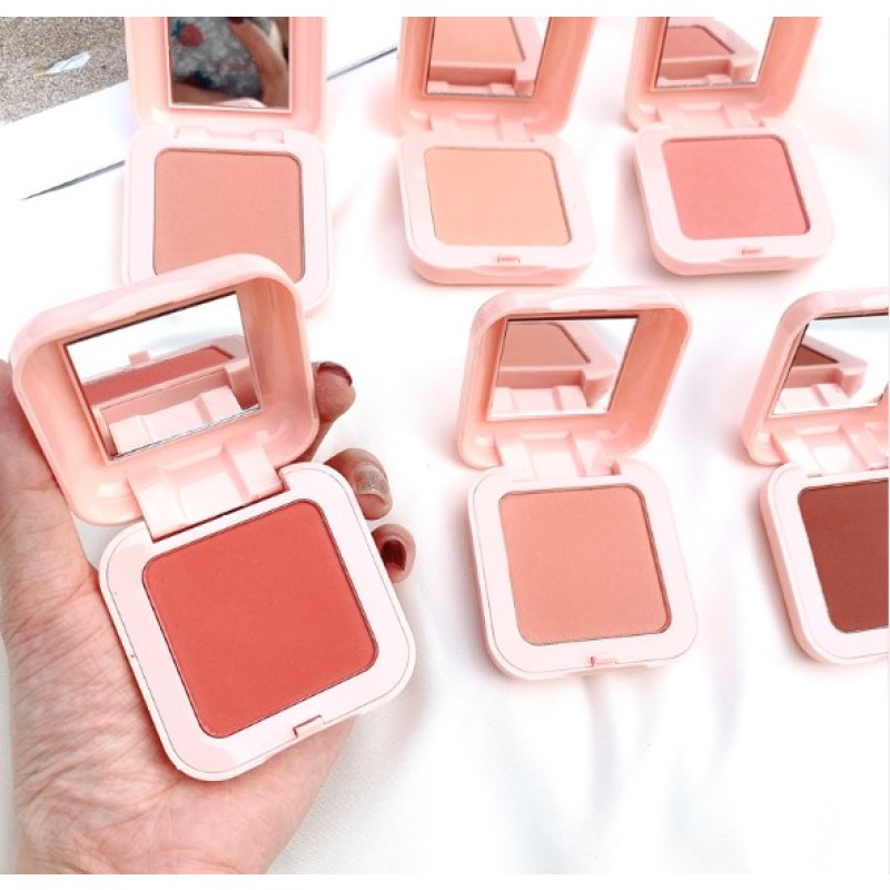 Blush Palette Manufacturer - Matte Shiny Blusher