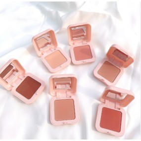 Blush Palette Manufacturer - Matte Shiny Blusher