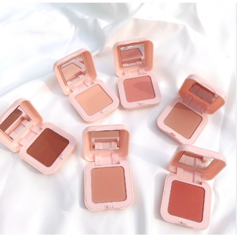 Blush Palette Manufacturer - Matte Shiny Blusher