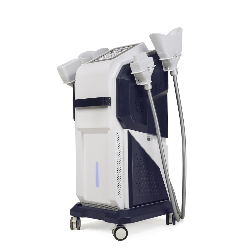 Slimming Machine Factory - 4 Handle Diamond Ice Sculpture