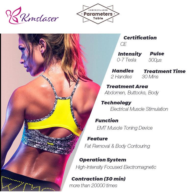 Body Sculpting Machine Factory - High Intensity 2 Handle