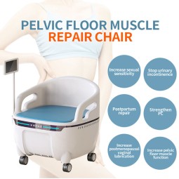 EMS Pelvic Floor Machine Supplier - Electromagnetic Trainer