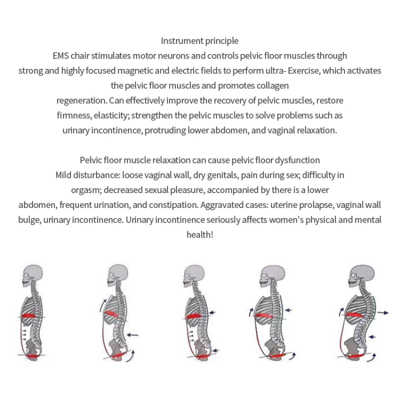EMS Chair Machine Manufacturer - Muscle Stimulation Therapy