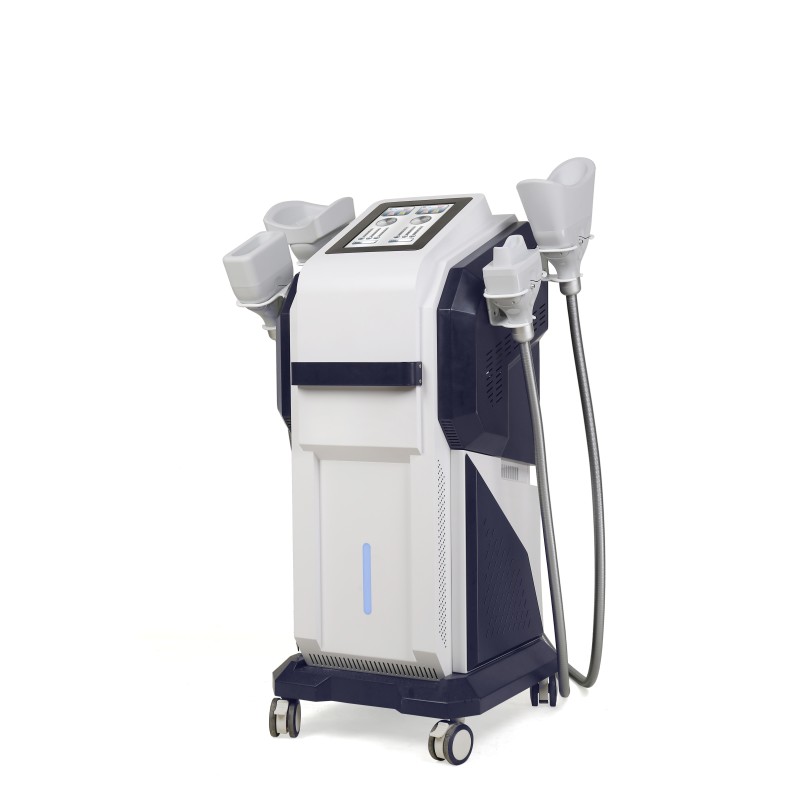 Slimming Machine Factory - 4 Handle Diamond Ice Sculpture