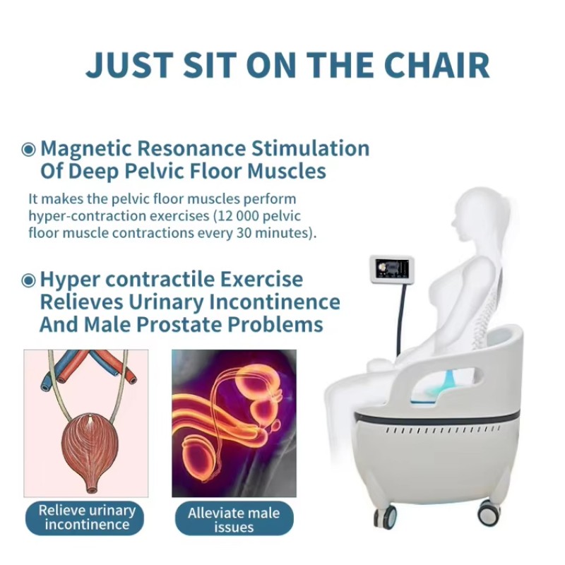 Pelvic Floor Machine Factory - Home SPA Exerciser Chair
