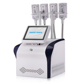 Cryoslimming Machine Supplier - EMS RF Fat Reduce