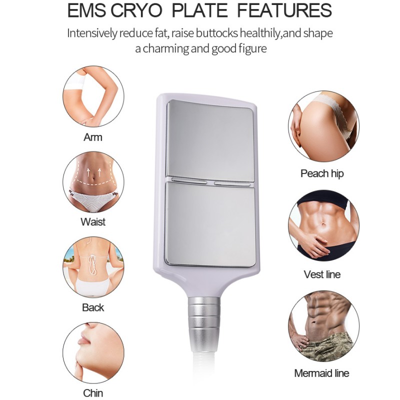 Cryoslimming Machine Supplier - EMS RF Fat Reduce