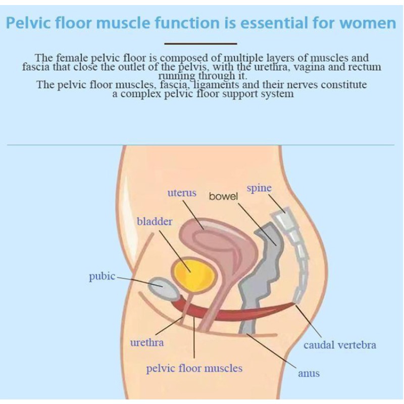 EMS Chair Machine Factory - RF Heat Massage Chair