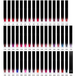 Lip Gloss Factory - OEM 79 Color Gradient Lip Gloss