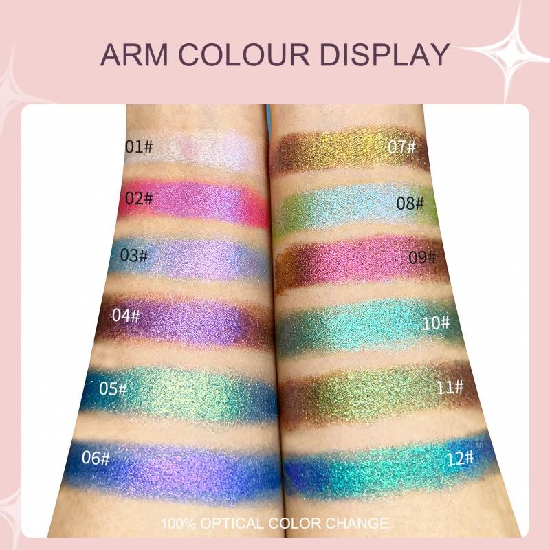 Eyeshadow Powder Supplier - 12 Color Chameleon Powder