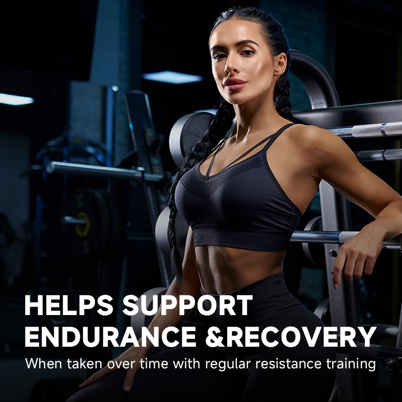 OEM/ODM Organic Grass-Fed Protein Bars Manufacturer - Wholesale 20g Protein Low-Sugar Snack 3 Flavors Energy Support