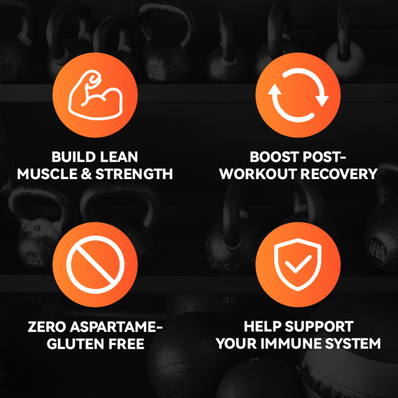 2025 TBG OEM Gold Standard Whey Protein Powder Manufacturer - 907g Canned 3-in-1 Animal Protein (Strawberry Chocolate Flavor) for Muscle Support