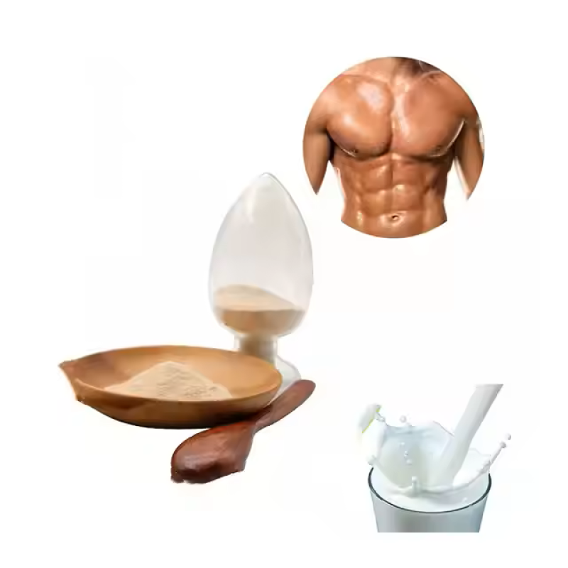 OEM/ODM Whey Protein Isolate Manufacturer - 90% Instant Dissolve Powder for Muscle Recovery Shakes