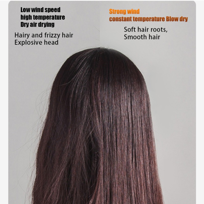 Hair Dryer Manufacturer - Salon High-speed Ionic Dryer