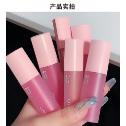 Lip Gloss Supplier - Transparent Pink Heart Mirror