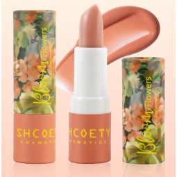 Lipstick Supplier - Moisturizing Waterproof Cosmetics Bulk