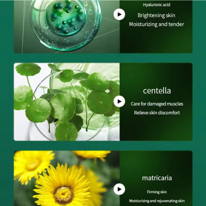 Sea Fennel Skincare Supplier - Hyaluronic Acid Luxury Gift Set