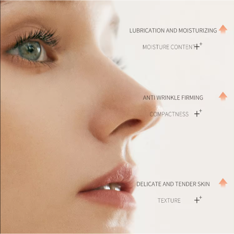 Plant Extract Skincare Supplier - 3 Step Vegan Facial System