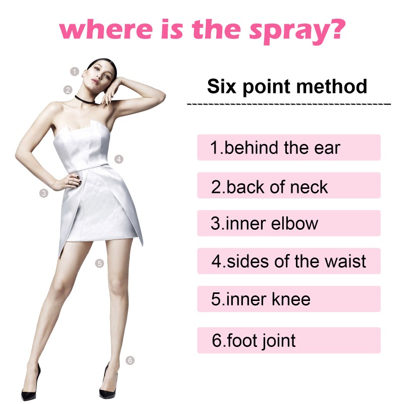 Women's Perfume Supplier - Light Floral Niche Fresh Fragrance