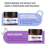 Day&Night Cream