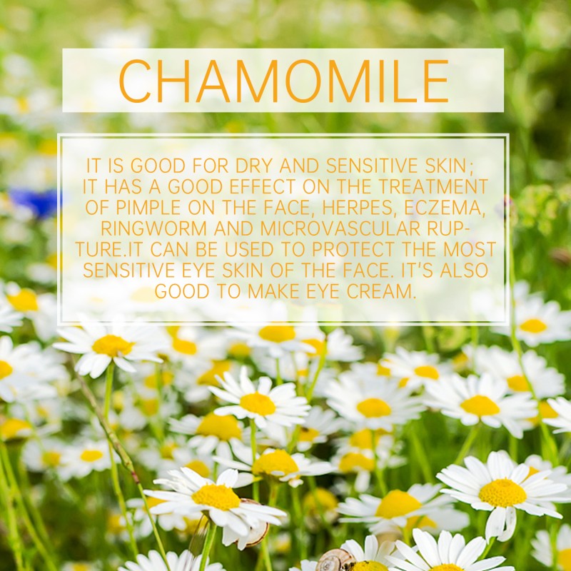 Body Facial Spray Factory - Chamomile Soothing Moisturizing