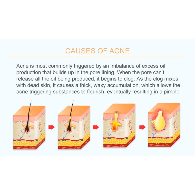 Dead Sea Mask Factory - Turmeric Green Tea Rose Clay